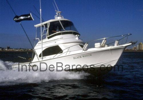 Black Watch 34 ficha técnica y opiniones